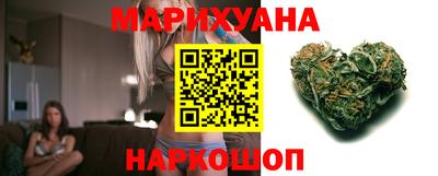 крисы Будённовск