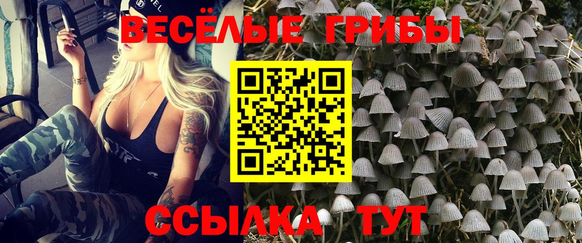 Белогорск  дарнет шоп  Галлюциногенные грибы Magic Shrooms  Вход с VPN  Псилоцибиновые грибы прущие грибы 