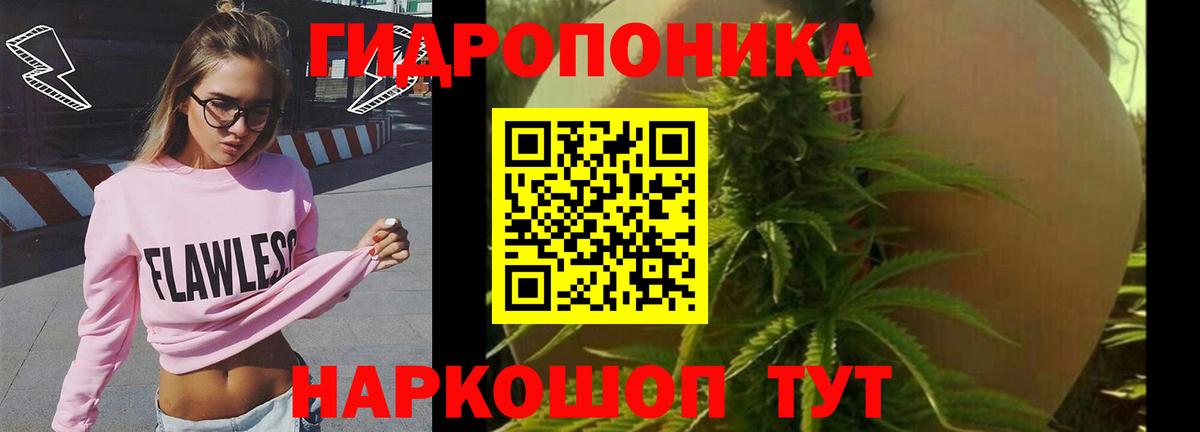 Каннабис сатива Белогорск